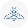 Bee Nest Removal Lilleshall