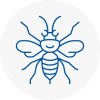 Lilleshall Hornet Nest Removals