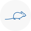 Mice Exterminators In Lilleshall