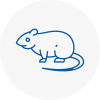 Rat Control Lilleshall