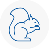 Lilleshall Rodent Removals